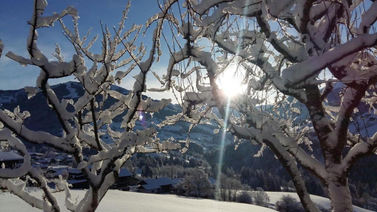 Aussermoos-Zuhaus Alpbach Exteriör bild
